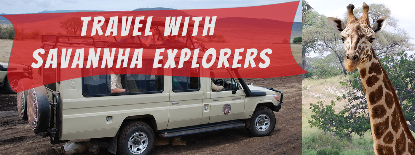 grat migration tanzania safari